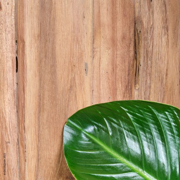 Miroir Psyché géant Sur Pieds en teck recyclé.